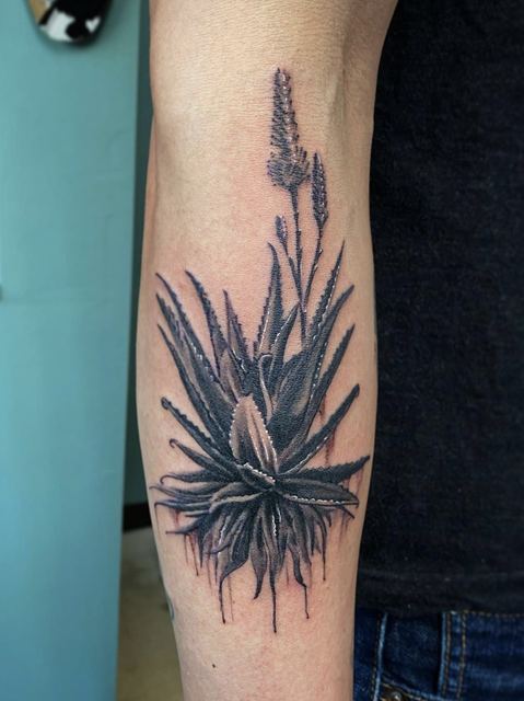 Alovera tattoo by Deadpigeon (black & grey)