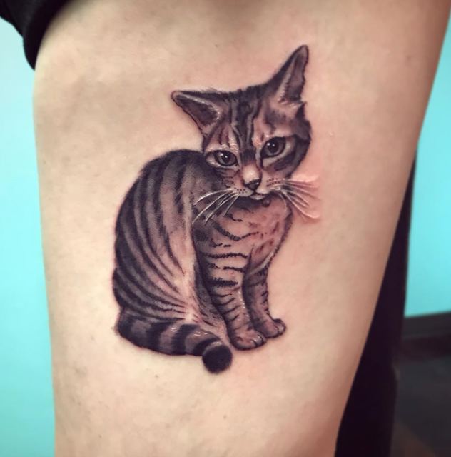 Cat tattoo by Deadpigeon (black & grey)