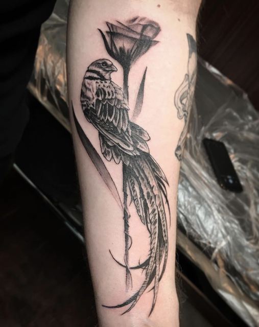 Tulip and bird tattoo by Deadpigeon (black & grey)
